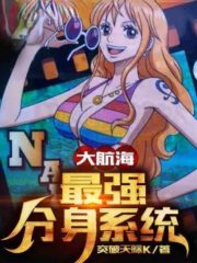 Read One Piece: Gadget Master On Straw Hat Ship - 21_legend_lotter